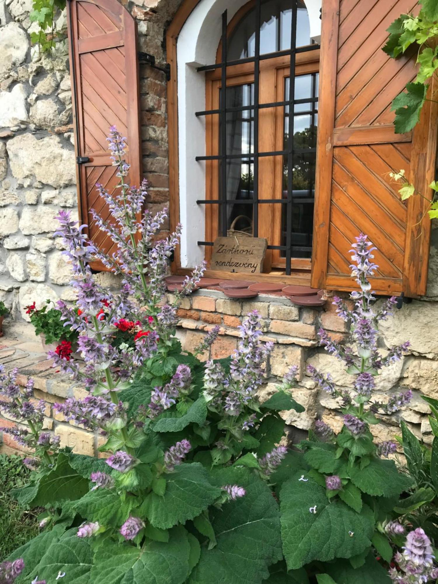 Villa Cifrapince Es Vendeghaz Tordas Exterior foto